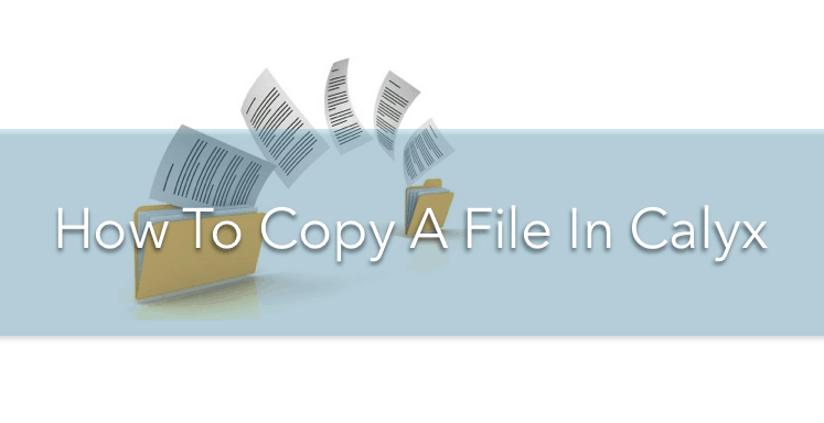 How to copy a file in Calyx and only get the 1003 Data