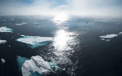 How Climate Shifts Create Investment Opportunities & Economic Risks in Real Estate