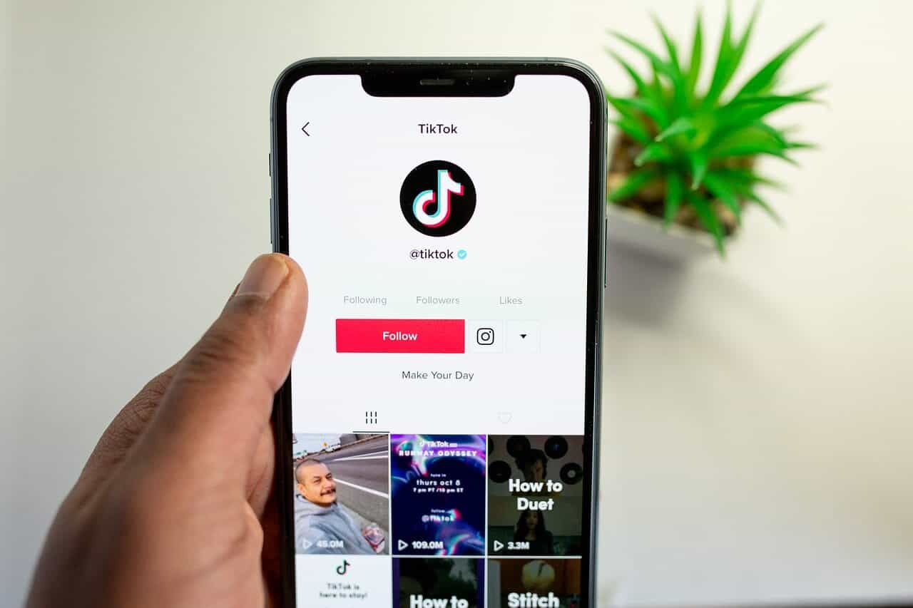 A hand holding a phone with a grass plant in a white pot in the background. The phone screen shows TikTok's profile on TikTok