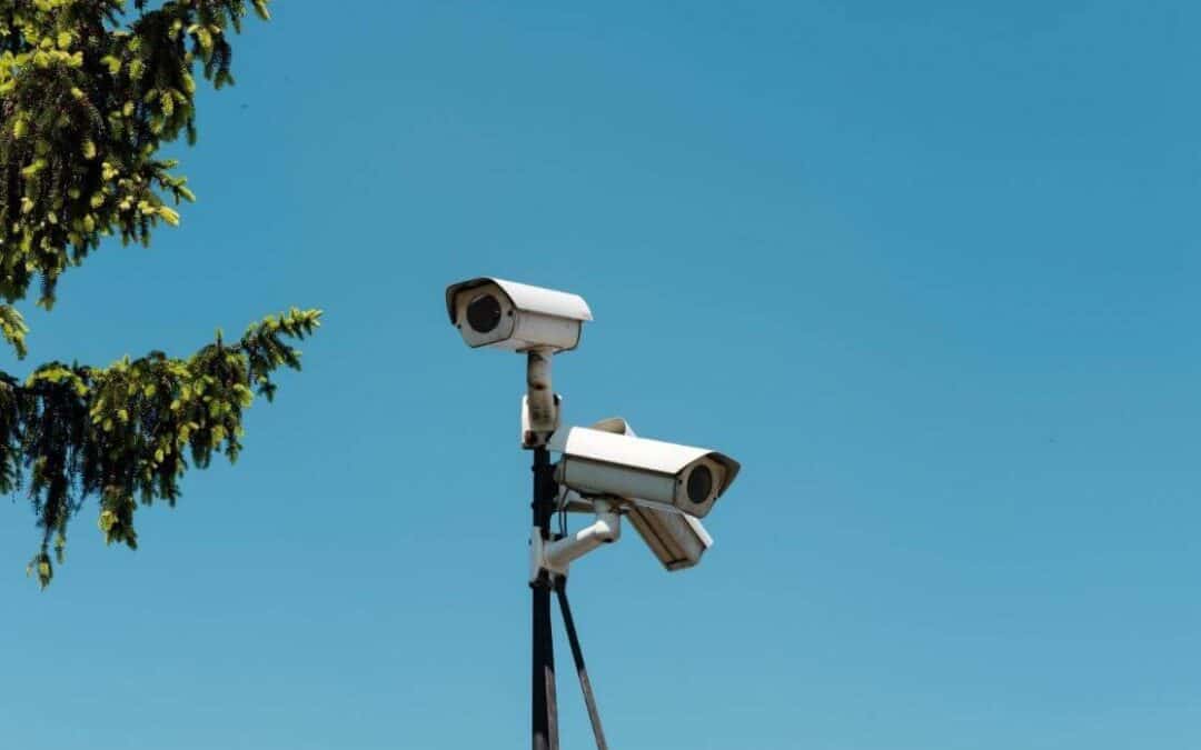 Two Security Cameras Looking In The Opposite Direction Against The Blue Sky, With a Tree Branch Peeking at the Left Corner