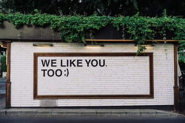Green moss on a balcony with underlight falling over a large white wall with a square and a graphic saying "We like you, too :)".